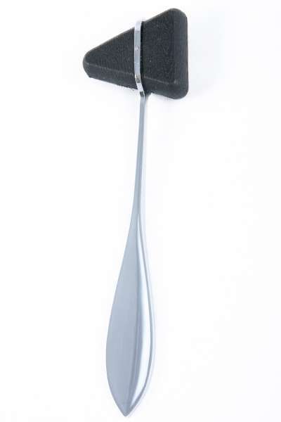 nocrh1 Hospitrix Reflexhamer Taylor