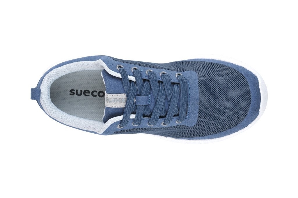 Suecos Alma White