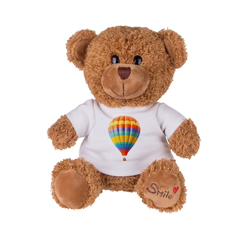 Teddybär mit Photo / Logo