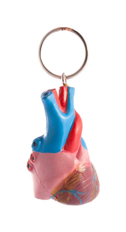 Key Chain Human Heart