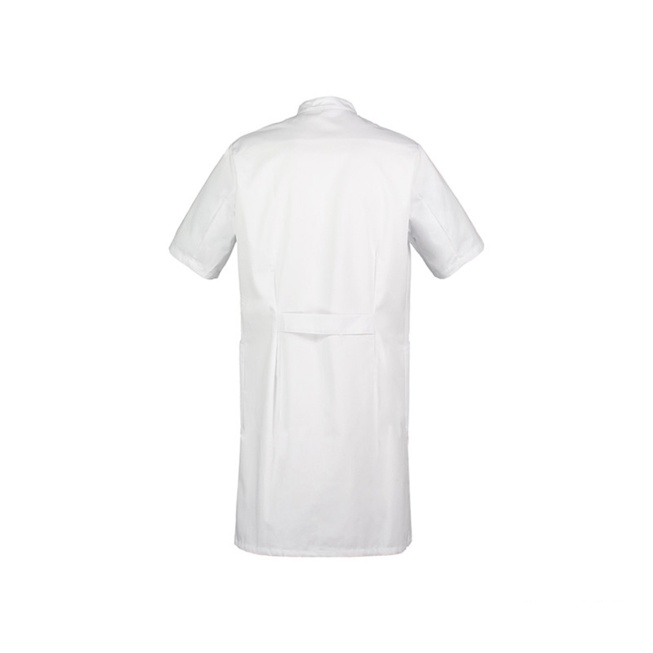 72011-marcel-back