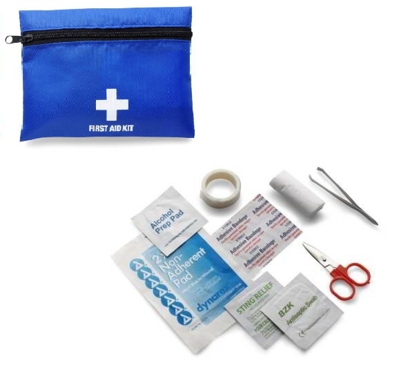 Mini First Aid Guide Mini First Aid Kit | ##shopName##